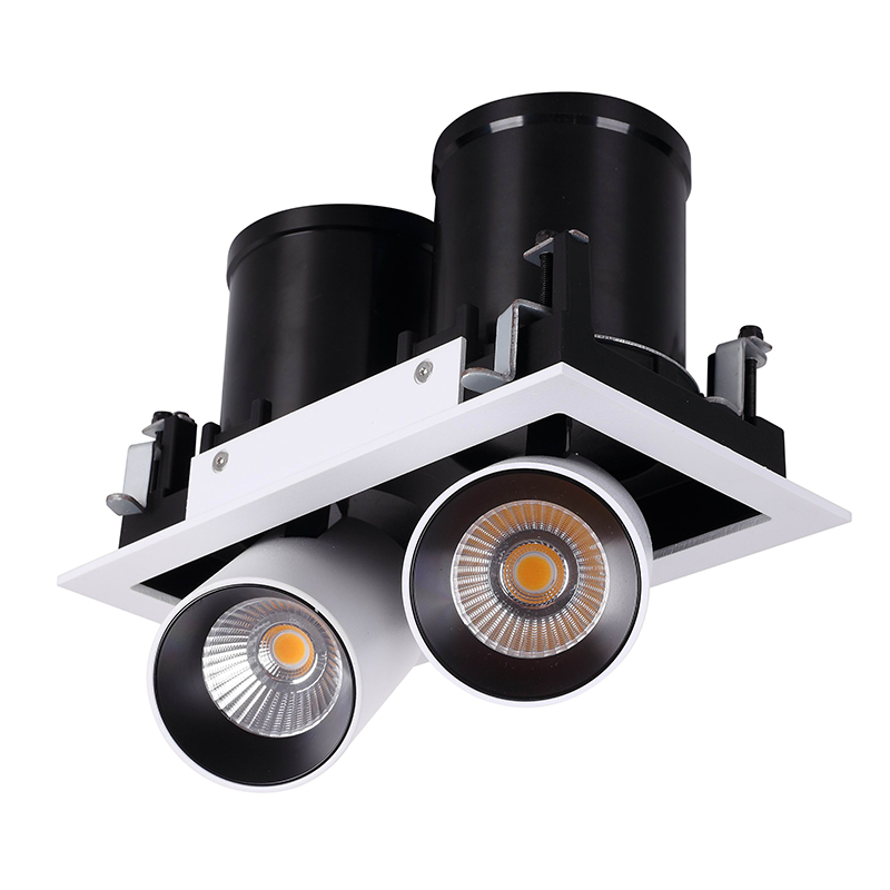 Stretchable Downlights Double Head